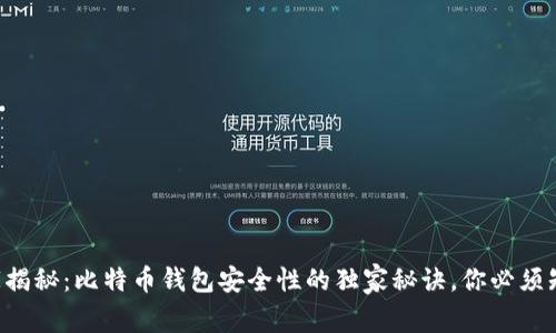 专家揭秘：比特币钱包安全性的独家秘诀，你必须知道！
