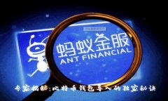 专家揭秘：比特币钱包导
