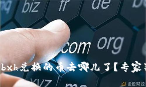 tpwalletbxh兑换的币去哪儿了？专家独家解读！