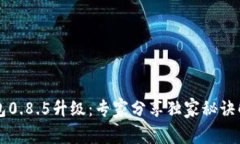 比特币钱包0.8.5升级：专家