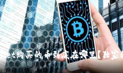 专家揭秘：在TPWallet购买的币到底在哪里？独家秘诀教你正确查看！
