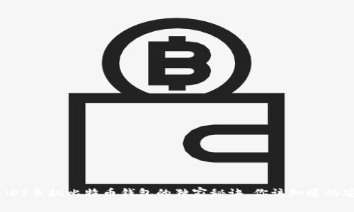 专家解析：iOS手机比特币钱包的独家秘诀，你该知道的安全与便捷