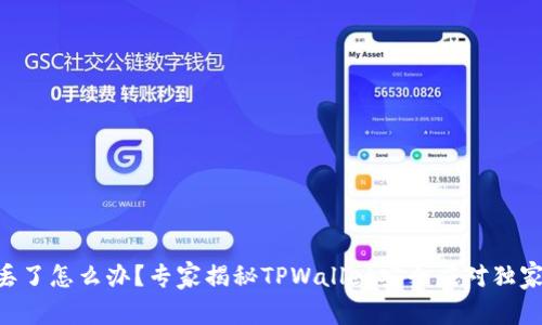 手机丢了怎么办？专家揭秘TPWallet安全应对独家秘诀！