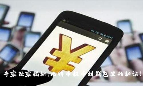 专家独家揭秘：比特币提币到钱包里的秘诀！