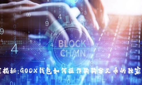 专家揭秘：GODX钱包如何操作狗狗分叉币的独家秘诀