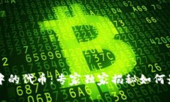 TPWallet流动池中的代币：专