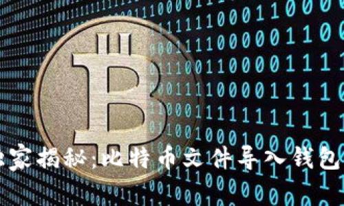 专家独家揭秘：比特币文件导入钱包的秘诀