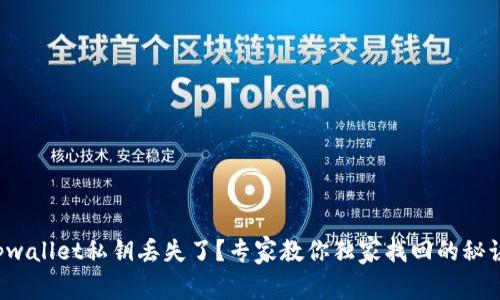 tpwallet私钥丢失了？专家教你独家找回的秘诀！