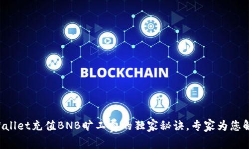 TPWallet充值BNB旷工费的独家秘诀，专家为您解读！