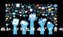 专家独家揭秘：TP钱包没有