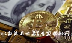 TPWallet激活不必要？专家揭