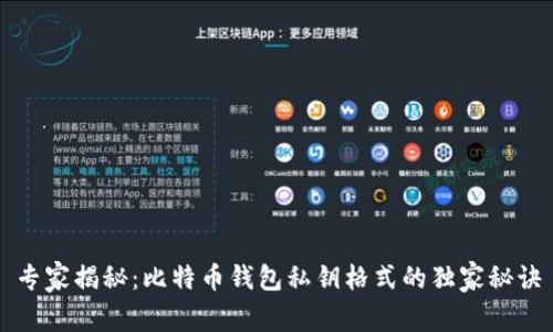 专家揭秘：比特币钱包私钥格式的独家秘诀