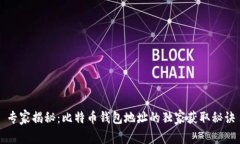 专家揭秘：比特币钱包地