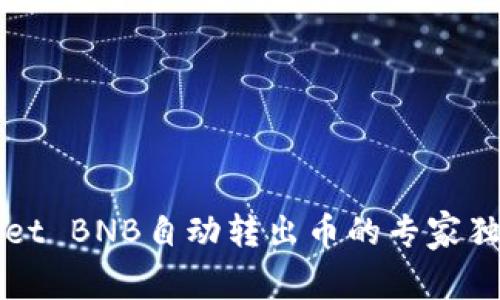 TPWallet BNB自动转出币的专家独家秘诀