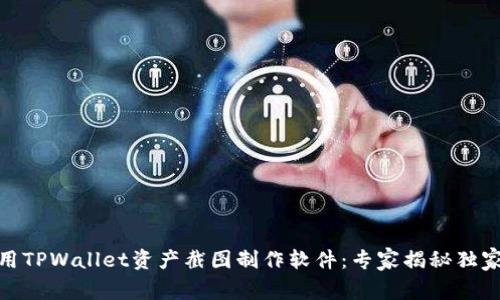 超实用TPWallet资产截图制作软件：专家揭秘独家秘诀