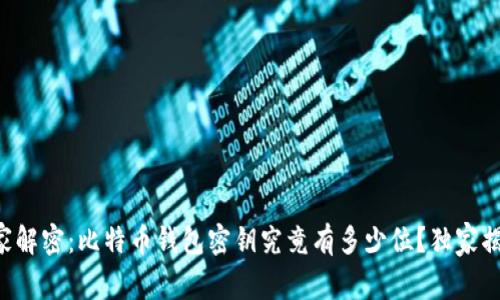 专家解密：比特币钱包密钥究竟有多少位？独家揭秘！