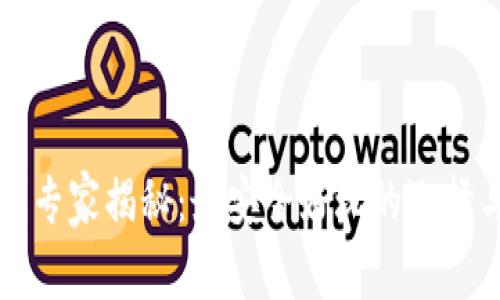 比特币钱包专家揭秘：最安全好玩的选择与独家秘诀