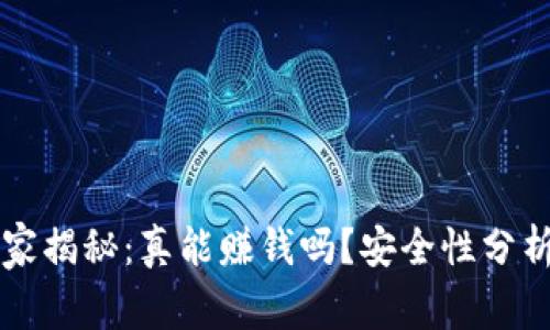 TPWallet专家揭秘：真能赚钱吗？安全性分析与独家秘诀
