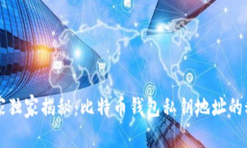 专家独家揭秘：比特币钱包私钥地址的秘诀