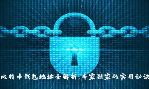 比特币钱包地址全解析：专家独家的实用秘诀