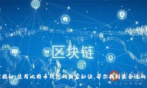 专家揭秘：使用比特币钱包的独家秘诀，帮你找到最合适的选择