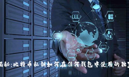 专家揭秘：比特币私钥如何在任何钱包中使用的独家秘诀