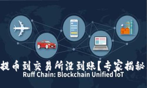 TPWallet提币到交易所没到账？专家揭秘独家秘诀！
