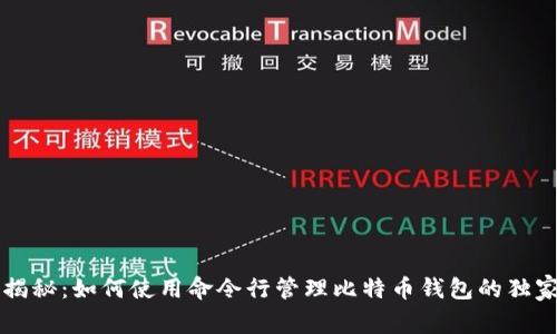 专家揭秘：如何使用命令行管理比特币钱包的独家秘诀