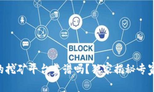 TPWallet里的挖矿平台靠谱吗？独家揭秘专家推荐的秘诀！