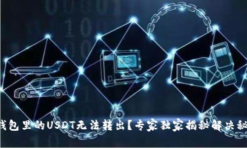 TP钱包里的USDT无法转出？专家独家揭秘解决秘诀！