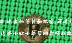 添加流动性到TPWallet（或类