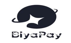 独家揭秘：怎样用C语言实