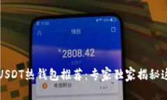 2023年USDT热钱包推荐：专家