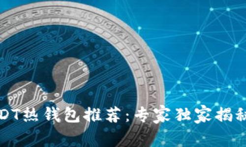 2023年USDT热钱包推荐：专家独家揭秘这个秘密！