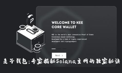 麦子钱包：专家揭秘Solana主网的独家秘诀
