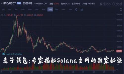 麦子钱包：专家揭秘Solana主网的独家秘诀