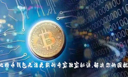 比特币钱包无法更新的专家独家秘诀，解决你的困扰！