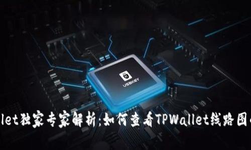 TPWallet独家专家解析：如何查看TPWallet线路图的秘诀