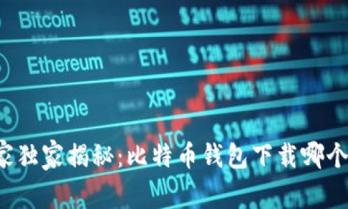 专家独家揭秘：比特币钱包下载哪个好？