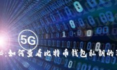 专家揭秘：如何查看比特