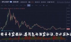 比特币专家揭秘：存钱包