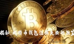专家揭秘：比特币钱包注