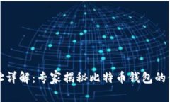 比特币钱包地址详解：专