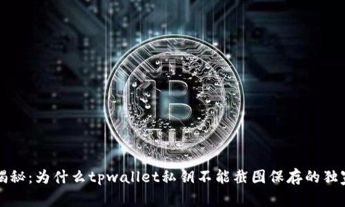 专家揭秘：为什么tpwallet私钥不能截图保存的独家秘诀