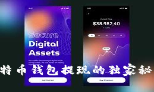 专家揭秘：比特币钱包提现的独家秘诀，轻松掌握！