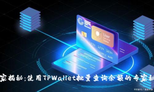 独家揭秘：使用TPWallet批量查询余额的专家秘诀