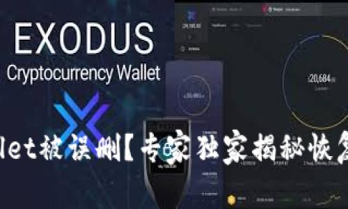 TPWallet被误删？专家独家揭秘恢复秘诀！