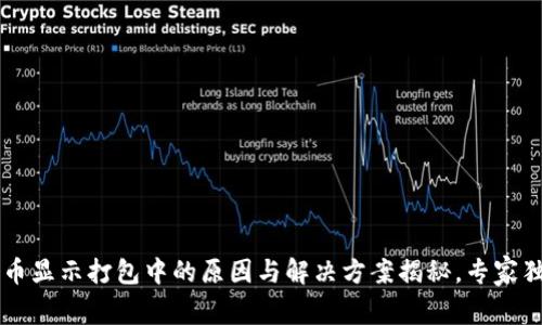 TPWallet提币显示打包中的原因与解决方案揭秘，专家独家分享秘诀