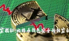 专家揭秘：比特币钱包安