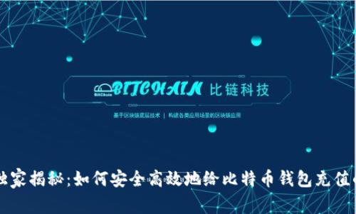 专家独家揭秘：如何安全高效地给比特币钱包充值的秘诀